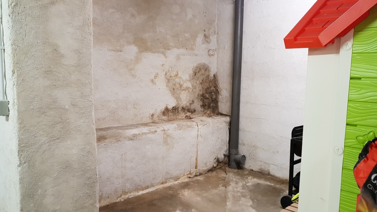 Infiltrations d'eau - Expertise humidité à Meaux